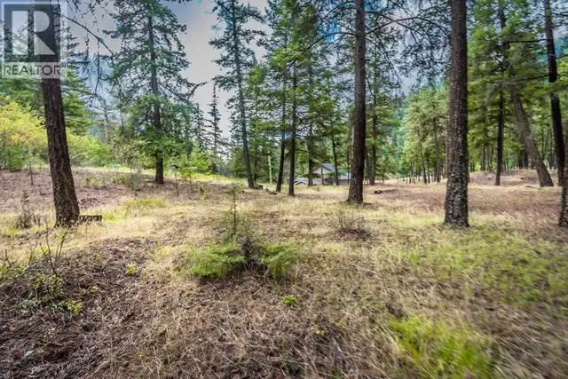 5225 12 Highway Lillooet, British Columbia in Land for Sale in Whistler - Image 3