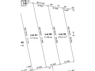 The 3rd Phase of Tyner Ridge Estates is here. Surrounded by green space, shopping, recreational area...