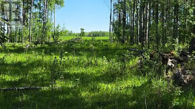 Highway 20 Rural Ponoka County, Alberta628657150585631226