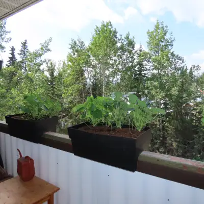 Bright and inviting top-floor studio apartment available July 1st in the desirable Hillcrest area. T...