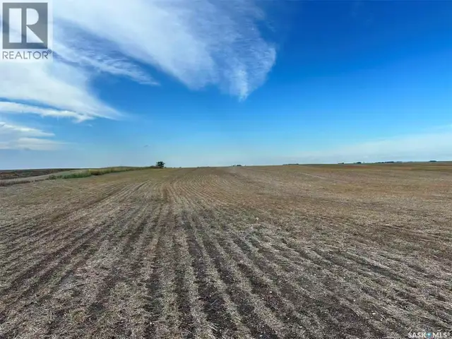 961 Acres Farmland in RM Morris Morris Rm No. 312, Saskatchewan in Land for Sale in Saskatoon - Image 10