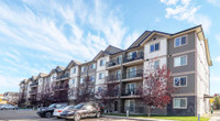 Broadstreet's Steenbuck Pointe offers 1, 2, and 3 bedroom pet friendly apartments for rent in the no... (image 1)