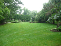 Green Side Yard n' Garden