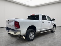 PROTECTION GROUP, GVWR: 4 535 KGS (10 000 LBS), SIRIUSXM SATELLITE RADIO, ELECTRONIC TRAILER BRAKE C... (image 7)