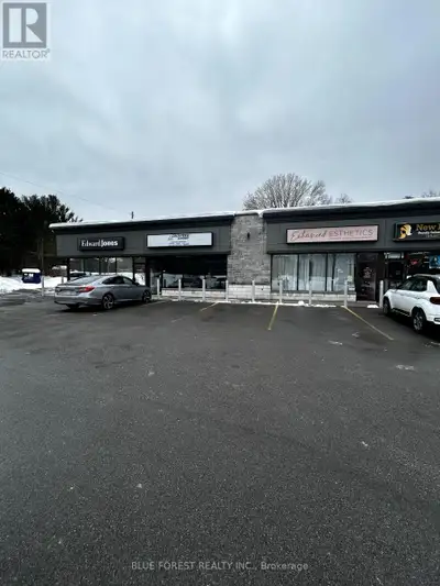 Excellent leasing opportunity in this very attractive north/east London office plaza. Zoning allows...