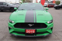 NO ACCIDENT Unleash the thrill of the open road with the 2019 Mustang Ecoboost Coupe. With its bold... (image 1)