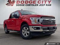 Work-ready, weekend-approved. This 2020 Ford F-150 XLT SuperCrew 4x4 is the ideal partner for both j... (image 7)