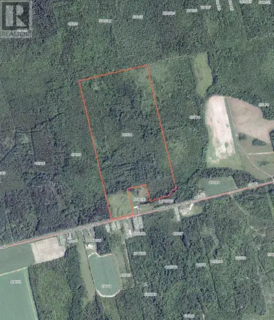 Here is a 92 acre wooded acreage located in Forestview, just outside the town of O'Leary. There is a...