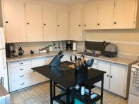 Large 2 Bedroom Apartment Downtown (Sept 1) - Dog & Cat Friendly Fredericton New Brunswick Preview