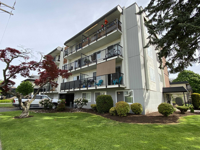 Central Chilliwack Apartment For Rent | Chilliwack Central Apart in Long Term Rentals in Chilliwack