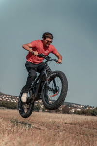 750W Dual Suspension Mountain Ebike Two Years Warranty