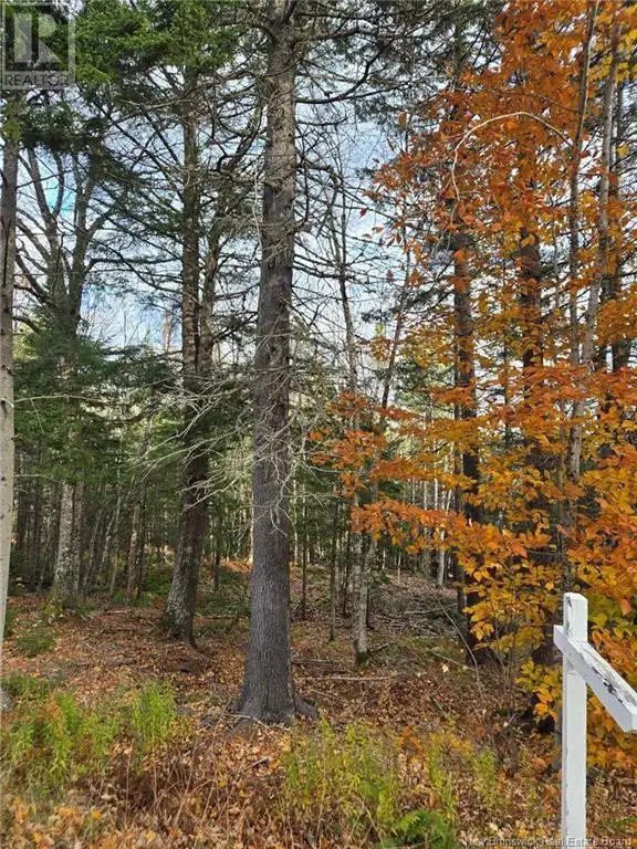 21-01 Worden Road Kingston, New Brunswick in Land for Sale in Saint John - Image 14