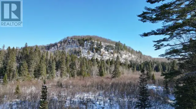 146 BUCK HILL ROAD Hastings Highlands (Monteagle Ward), Ontario in Houses for Sale in Trenton - Image 4