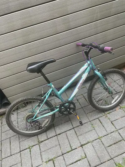 movelo algonquin mountain bike 20 inch tire girls bicycle, View more