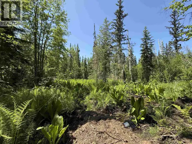 24151 RIVER ROAD Smithers, British Columbia in Houses for Sale in Smithers - Image 29