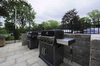 SPACIOUS ONE BEDROOM APARTMENT FOR RENT IN BELLEVILLE! SELECT APARTMENTS FULLY REVITALIZED WITH MODE... (image 7)