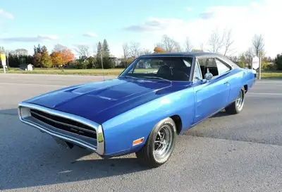 ATTN: AMERICAN BUYERS THE PRICE IS IN CANADIAN FUNDS, PLEASE CALL FOR USA DOLLAR RATES. A stunning a...