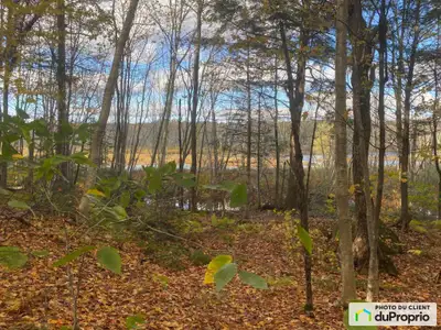 Beau et grand terrain de 50000 pi2 boisé situé au bord de l'eau, dans un secteur paisible où il y a...