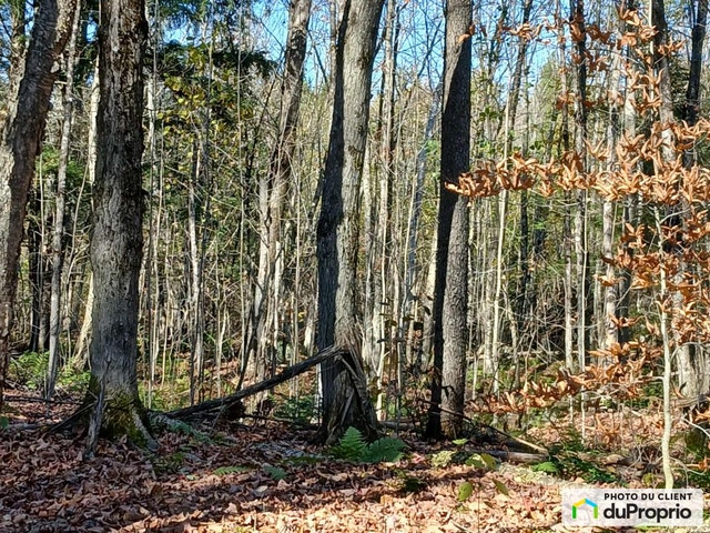 $197,500 - Residential Lot for sale in Orford — photo 1