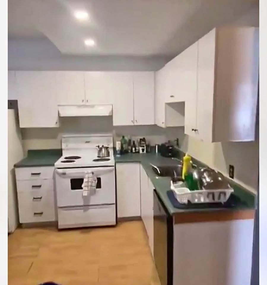 5571 Rue Saint-Dominique — photo 2