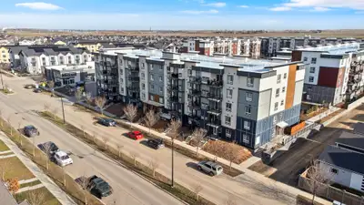 Pet-Friendly One Bedroom One Bath with In-suite Laundry for Rent