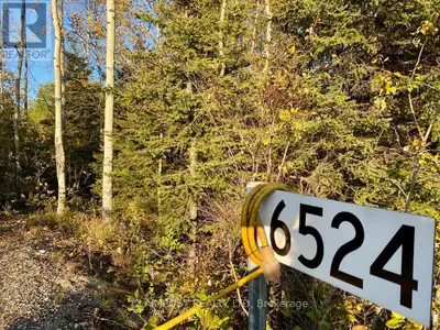 Enjoy 8.25 acres directly on Hwy 11 North, just south of Boyd Rd. Frontage is approximately 1140 ft....