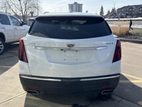 AMVIC Licensed Dealer AMVIC LICENSED DEALER. Stock number: L6600 The 2024 Cadillac XT5 Luxury delive... (image 6)