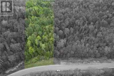 Escape to your private sanctuary in the heart of Lanark Highlands! Discover 1426 French Line Rd, a b...