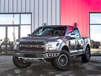 Carget Supercentre is proud to present this 2019 Ford F-150 Raptor! EXTERIOR: MAGNETIC INTERIOR: BLA... (image 1)