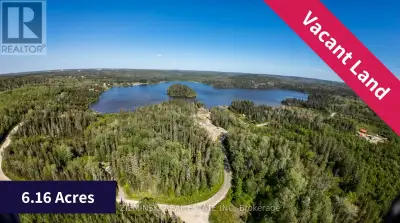 This 6 acre property has it all! Over 250 feet of waterfront , 10 minutes from full amenities, UNORG...