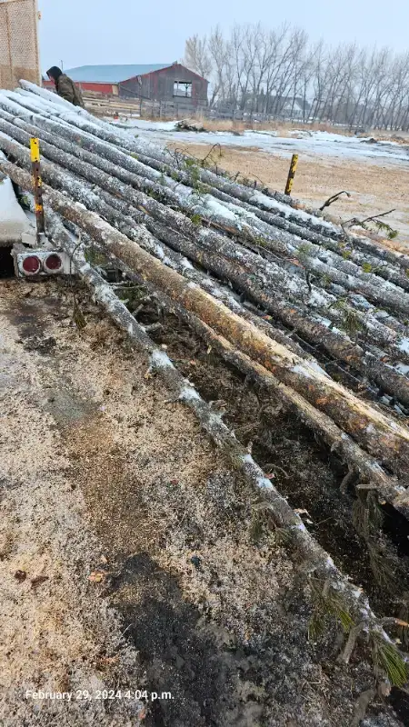 FIRE WOOD SALE62863273004801122
