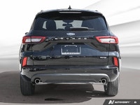 At Kia of Hamilton we strive to exceed expectations! With that, we meticulously go through each of o... (image 3)