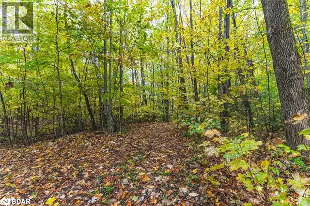 PT LOTS 23 & 24 CON 8 Oro-Medonte, Ontario in Land for Sale in Barrie - Image 10