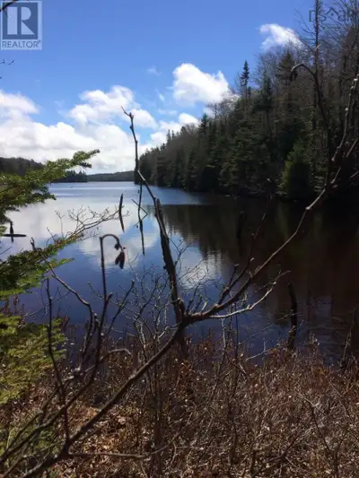 Lakefront Escape Surrounded by Nature! Discover 13+ acres of tranquilityan ideal getaway from city l...