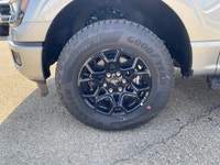 Welcome to Freedom Ford. 3.5 L EcoBoost V6 Engine - 4x4 Drive System - Reverse Park Assist - Satelli... (image 2)