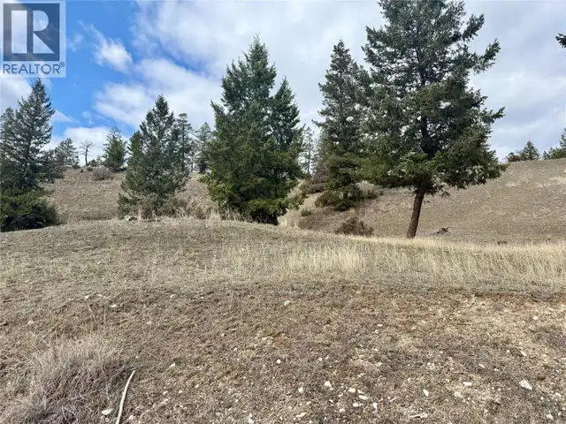 2400 KOOTENAY RD NO 3 Road Lot# 2 Windermere, British Columbia in Land for Sale in Cranbrook - Image 13
