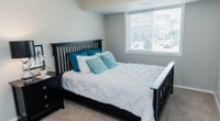 Broadstreet's Chappelle Springs offers 1, 2, and 3 bedroom pet friendly apartments for rent in the v... (image 5)