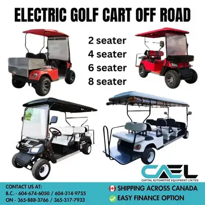 Brand New 2024 Electric Golf Carts 2024 Electric Golf Carts Off-Road for 2, 4, 6, and 8 Seaters Lowe...