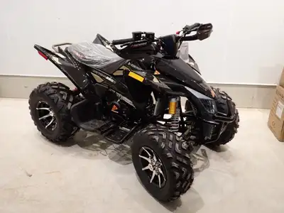 Daytona 250 FI ATV *NEW -Denago Powersports -newly assembled -Engine:249cc 4-stroke, air-cooled, ele...