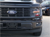 2024 FORD F-150 STX - NO ACCIDENTS - ONE OWNER - BC VEHICLE - NAVIGATION - BACKUP CAMERA - HEATED FR... (image 4)