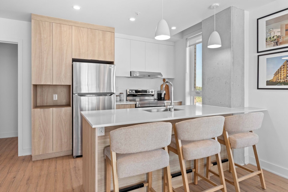 31/2,1,chambre,bedroom,louer,Dollard-des-Ormeaux 2