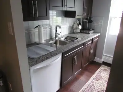 Executive Furnished 2 Bedroom Condo, View more