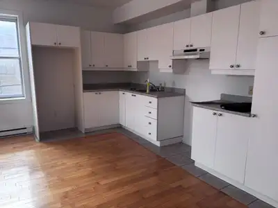 Grand 4 ½ à louer dans Saint-Henri, sur la rue Ste-Émilie/Turgeon! - Deux chambre fermée. - Entièrem...