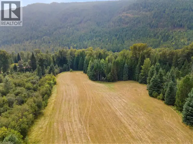 1515 Lakeview Arrow Creek Road Arrow Creek, British Columbia in Land for Sale in Nelson - Image 8
