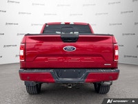 This 2020 Ford F-150 XLT features SYNC 3 infotainment system, 8-inch touchscreen display, Apple CarP... (image 5)