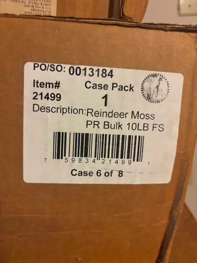 Green coloured Reindeer Moss. 10 lb boxes, View more