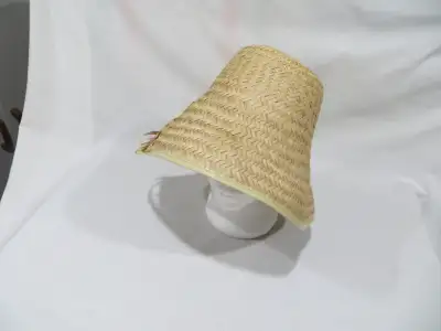 Straw Hats For With Halloween Costume, View more