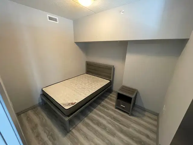 SHORT TERM RENTAL - Luxury Spacious & Furnished Student/Young Pr in Long Term Rentals in Kitchener / Waterloo - Image 3