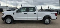 2026 Ford F 150 AMVIC Licensed Engine: 8 Cylinder Engine 5.0L Safety Equipment ABS And Driveline Tra... (image 6)