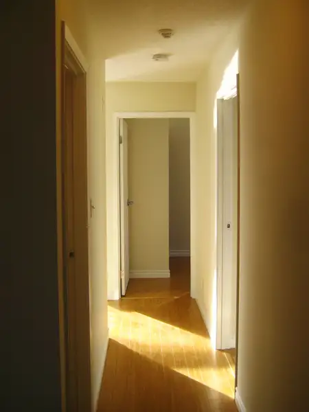 116 University | Exclusive Early Bird Pricing Sept. 2026 in Long Term Rentals in Kitchener / Waterloo - Image 6